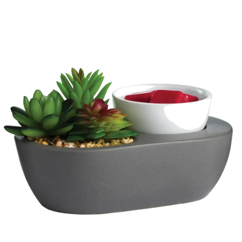 Faux Succulent Warmer
