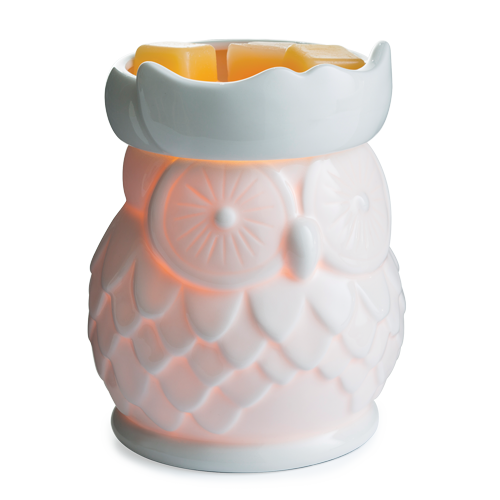 Porcelain Owl Warmer